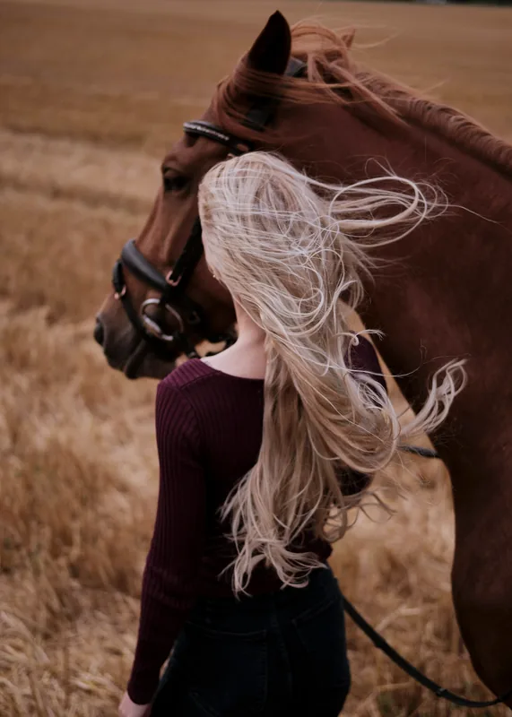 Renaissance, parcours individuel à pied : une personne de dos marche auprès d'un cheval alezan dans un champ de chaume doré.